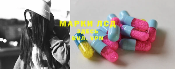 ECSTASY Богородск