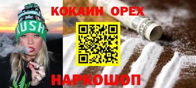 СК Кингисепп