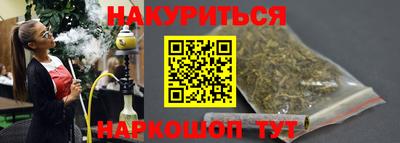 СК Кингисепп