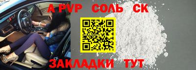 СК Кингисепп