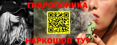 СК Кингисепп