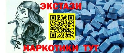 СК Кингисепп