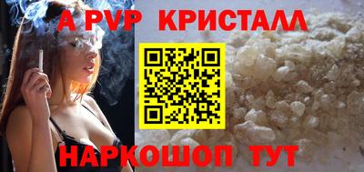 СК Кингисепп