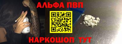 СК Кингисепп