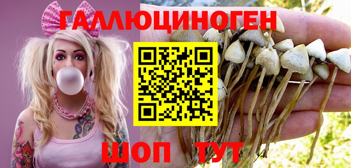 Саратов  Галлюциногенные грибы ЛСД  Вход с VPN 