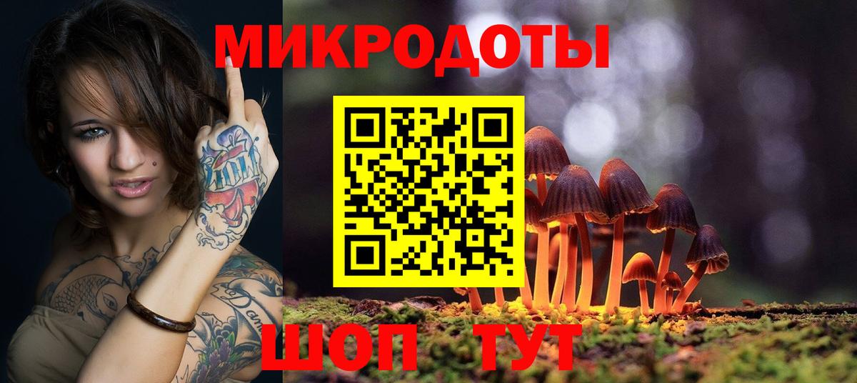 Псилоцибиновые грибы Cubensis Саратов